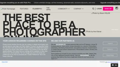 Screenshot preview of api.flickr.com