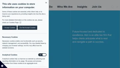Screenshot preview of akingump.com