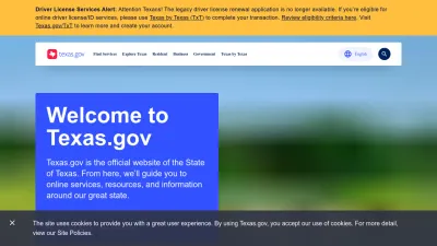 Screenshot preview of texas.gov