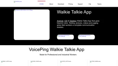 Screenshot preview of voicepingapp.com