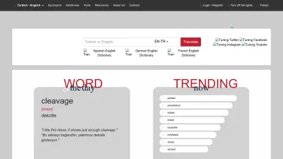 Screenshot preview of tureng.com