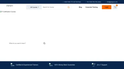 Screenshot preview of igmguru.com