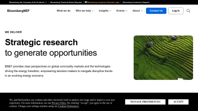 Screenshot preview of bnef.com