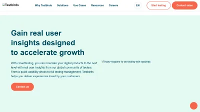 Screenshot preview of testbirds.com