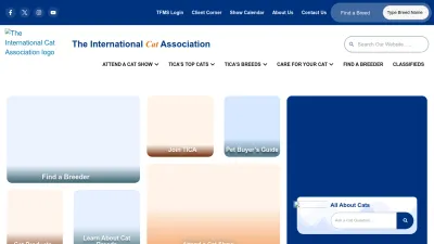 Screenshot preview of tica.org