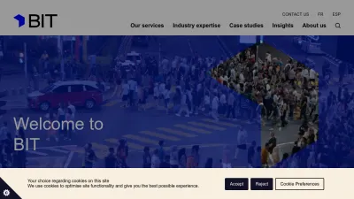Screenshot preview of bi.team