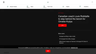 Screenshot preview of hawk.ru
