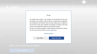 Screenshot preview of michelin.com