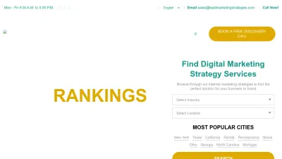 Screenshot preview of leadmarketingstrategies.com