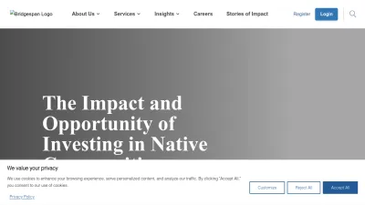 Screenshot preview of bridgespan.org