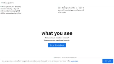 Screenshot of Lens.google
