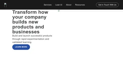Screenshot preview of leanstartup.co