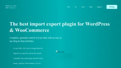 Screenshot preview of wpallimport.com