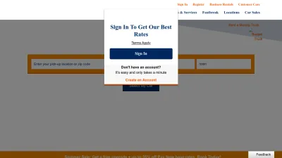 Screenshot preview of budget.com