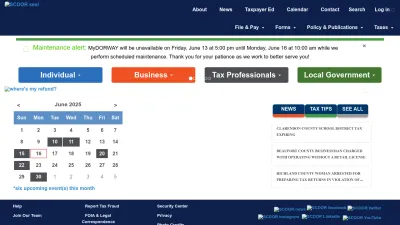 Screenshot preview of dor.sc.gov