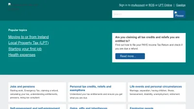 Screenshot preview of revenue.ie