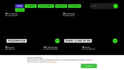 Screenshot preview of zapp.nl