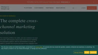 Screenshot preview of selligent.com