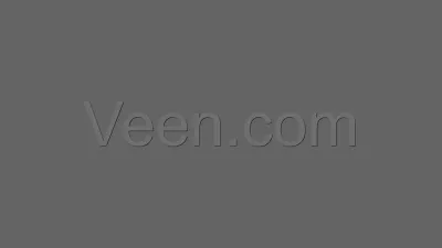 Screenshot preview of veen.com