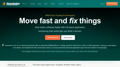 Screenshot preview of honeybadger.io