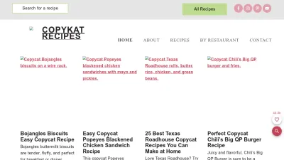 Screenshot preview of copykat.com