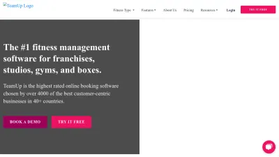 Screenshot preview of goteamup.com