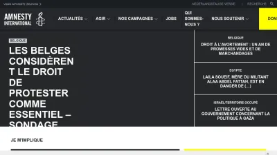 Screenshot preview of amnesty.be