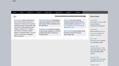 Screenshot preview of brainvoyager.com