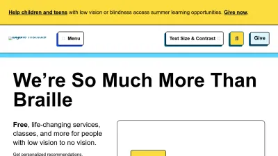 Screenshot preview of brailleinstitute.org