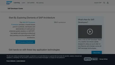 Screenshot preview of developers.sap.com