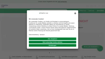 Screenshot preview of hagebau.de