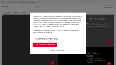 Screenshot preview of selgros.de