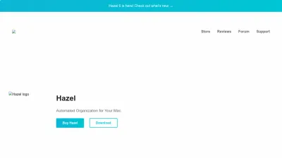 Screenshot preview of noodlesoft.com