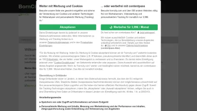 Screenshot preview of borncity.com