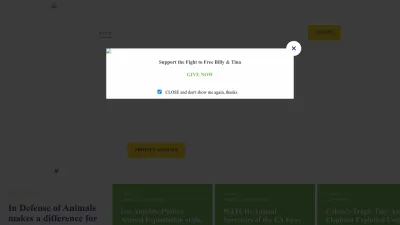 Screenshot preview of idausa.org