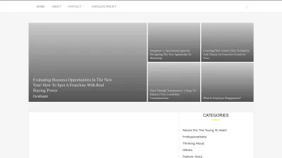 Screenshot preview of youngupstarts.com
