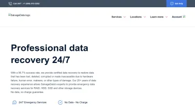 Screenshot preview of salvagedata.com