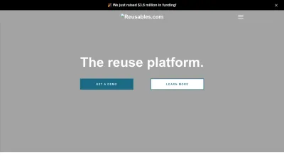 Screenshot preview of reusables.com