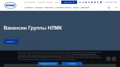 Screenshot preview of nlmk.com