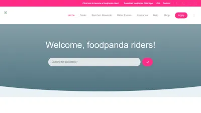 Screenshot preview of pandariders.sg