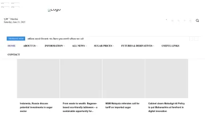 Screenshot preview of chinimandi.com