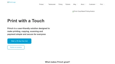 Screenshot preview of princh.com