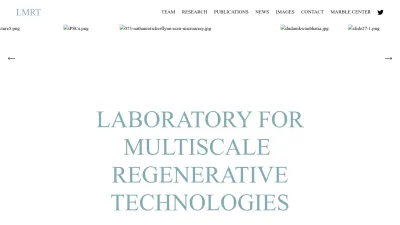 Screenshot preview of www.lmrt.mit.edu