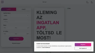 Screenshot preview of kleming.com