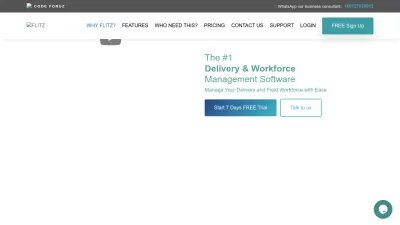 Screenshot preview of flitz.com.my