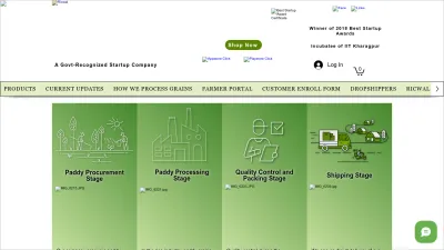 Screenshot preview of ricwal.com