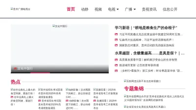 Screenshot preview of gzstv.com