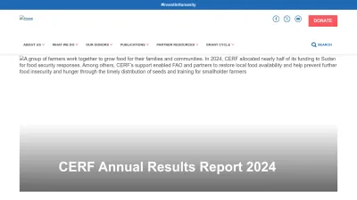 Screenshot preview of cerf.un.org