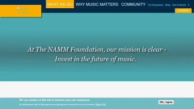 Screenshot preview of nammfoundation.org