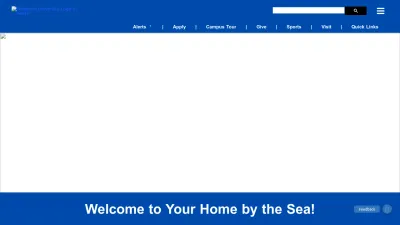 Screenshot preview of home.hamptonu.edu